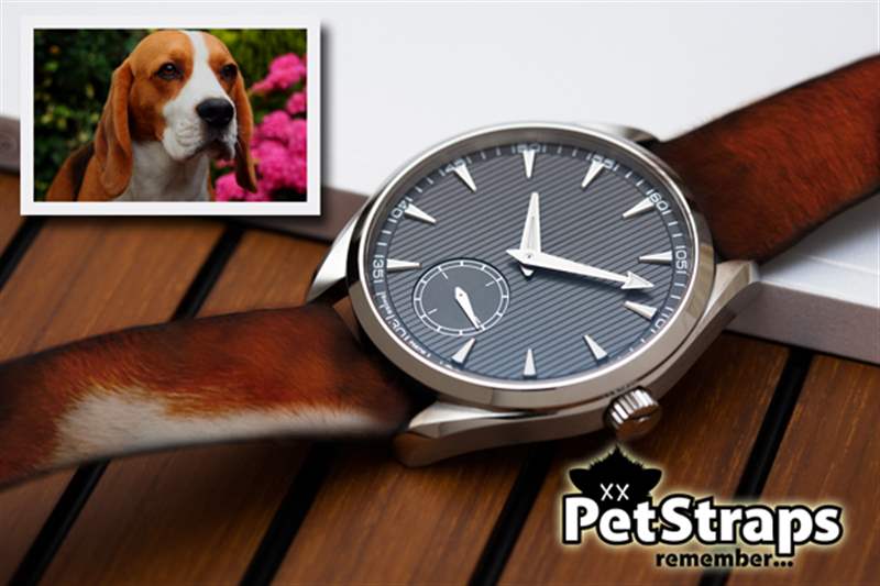 PetStraps：宠物伴侣的爱存在于……您的手腕上-复刻表