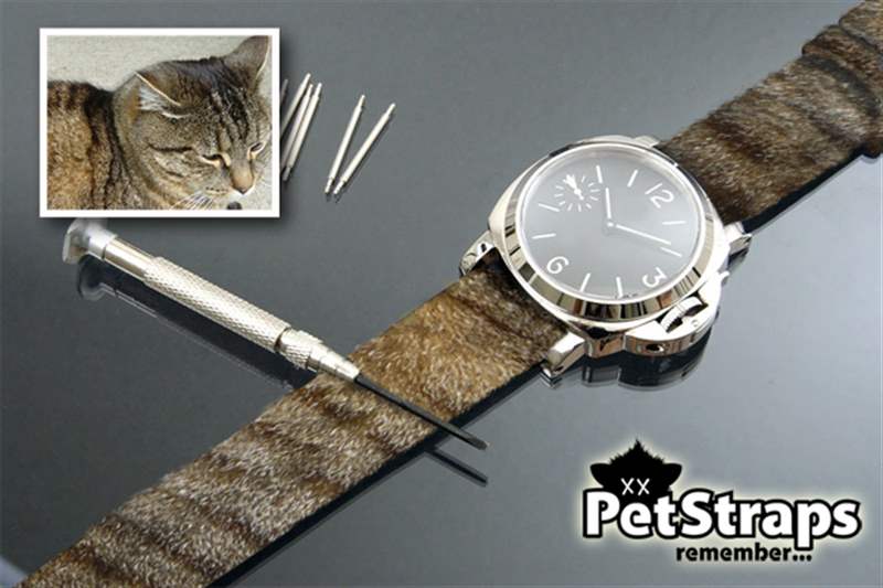 PetStraps：宠物伴侣的爱存在于……您的手腕上-复刻表